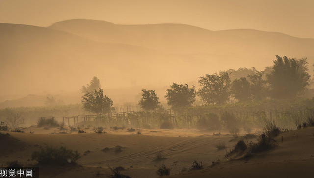 蒙古国沙尘暴频发背后：极端气候的恶性循环