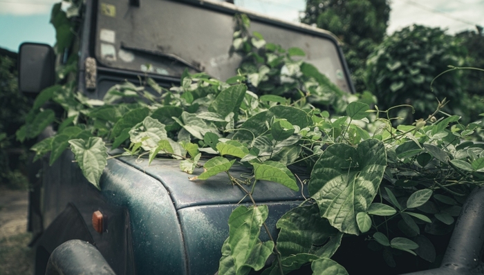 报废车辆,新能源汽车,网约车,共享汽车,