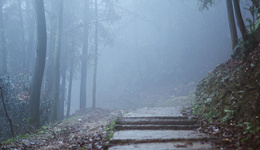 IPO雷達(dá) | 青都旅游沖主板：收入不含景區(qū)門票，經(jīng)營(yíng)存多項(xiàng)風(fēng)險(xiǎn)