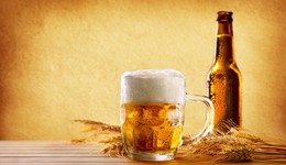 為什么燕京U8成“主角”？燕京啤酒去年?duì)I收132億元、歸母凈利潤3.52億元