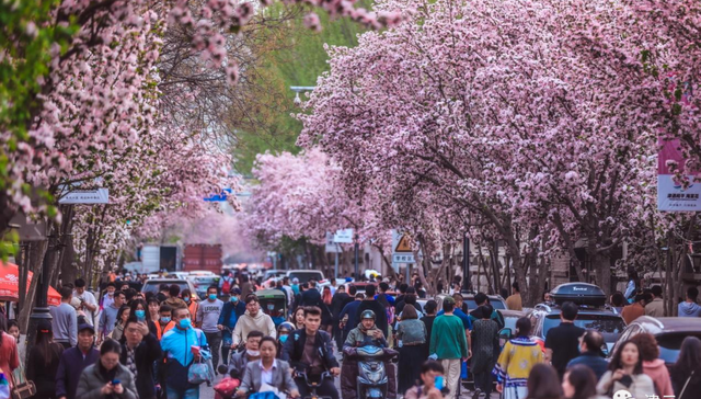 天津地铁,汽车运输船,中国式现代化,火力全开,繁花,天津西站,天津保税区,天津口岸,天津港,海陆空