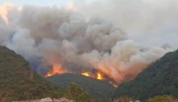 云南玉溪麗江兩起森林火災(zāi)均已得到控制，無人員傷亡情況