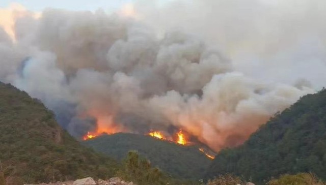 云南玉溪丽江两起森林火灾均已得到控制，无人员伤亡情况