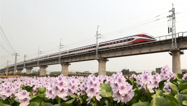 旅客列车,昆明南站,老挝旅游,中印,铁路部门,复兴号,旅游圈,一带一路,钢铁丝路,澜沧号