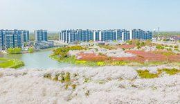 實(shí)探上海青浦西岑科創(chuàng)中心：華為全球最大研發(fā)中心預(yù)計(jì)明年投用