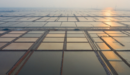 IPO雷达｜屡次借壳失败后，金盛海洋十年四次“冲”资本市场，有戏吗？