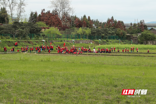 农校,好评,安江镇,黔阳县,怀化职业技术学院,1941年,荆楚网,洪江古商城,1950年,老校区
