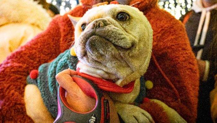 影视产业,电影,娱乐,营销