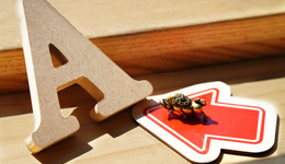 超越茅臺(tái)登頂，中國移動(dòng)憑2.2萬億市值成A股“老大哥”