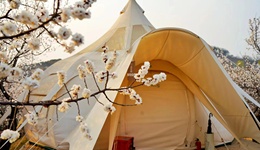 火爆的露营还没凉，但是到了冷静期