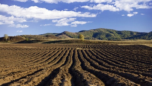 坚决遏制耕地“非农化”，国家自然资源督察6天约谈9地市