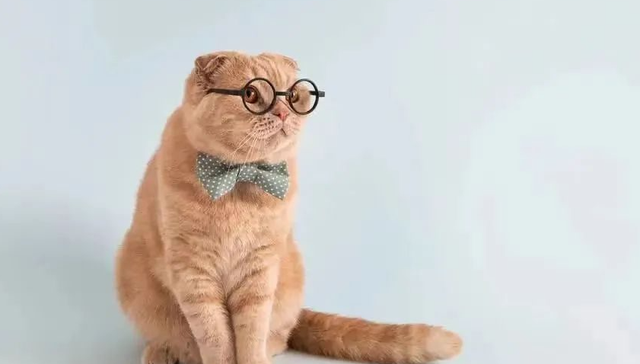 瑞普生物,业绩,收购,投资,