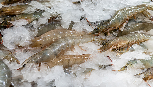 中国食物年损耗高达4.6亿吨，“背锅侠”之一是冷链物流基础薄弱