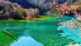 沒(méi)有大IP的景區(qū)如何靠極簡(jiǎn)化運(yùn)營(yíng)取勝？