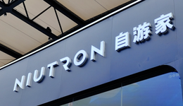 一将功成万骨枯，新能源车淘汰赛袭来？