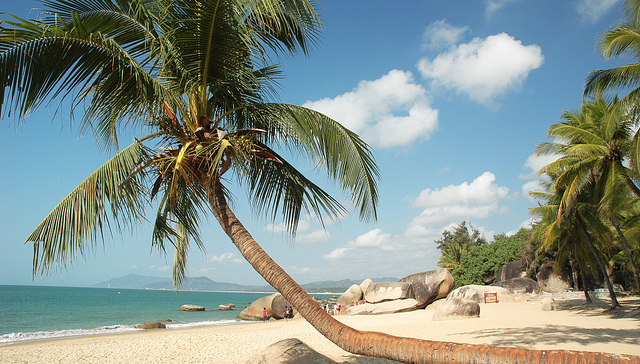 酒店80元/晚，海南发布旅游参考价，抵制不合理低价游