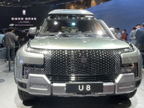 新能源车品牌：冲高vs向下