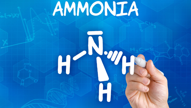 能够打破绿氢瓶颈，绿氨会成为下一个明星燃料吗？