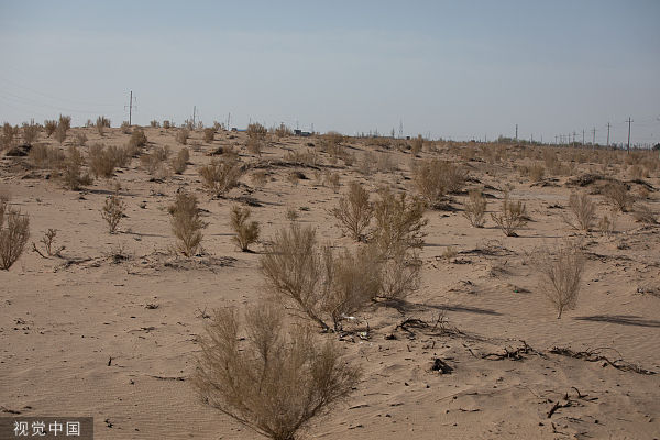 蚂蚁集团再捐1亿种树，实地探访北疆治沙成效如何