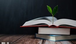 直通部委 | 境外高校在海南辦學(xué)暫行規(guī)定發(fā)布 一季度海關(guān)扣留侵權(quán)嫌疑貨物1048萬件