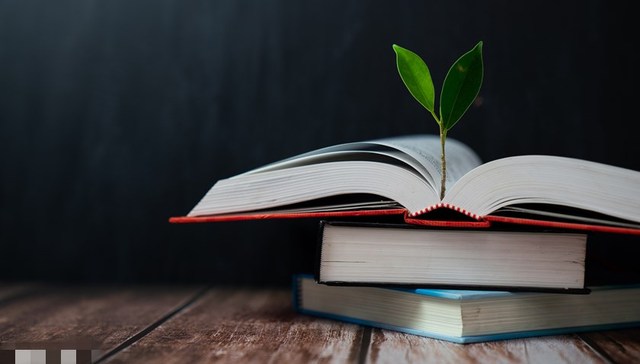 直通部委 | 境外高校在海南办学暂行规定发布 一季度海关扣留侵权嫌疑货物1048万件