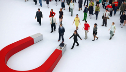 厂家招商苦、酒商选品难，问题出在哪儿？