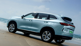 光環(huán)變包袱，長(zhǎng)城汽車如何求變？