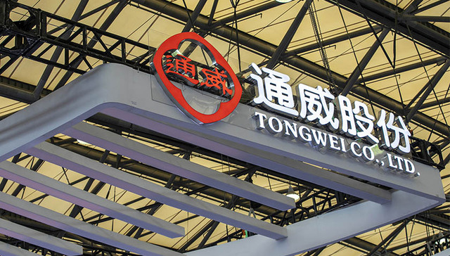 去年狂赚257亿，“硅王”通威股份拿出一半大分红