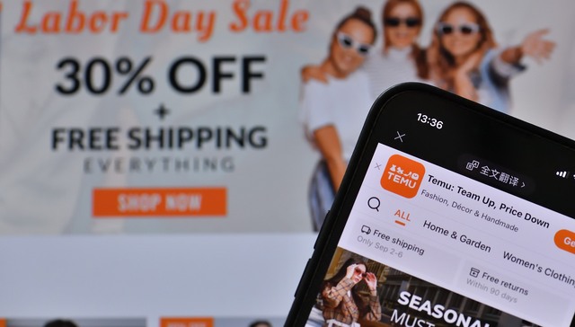 Temu bargain bonanza moves to Europe