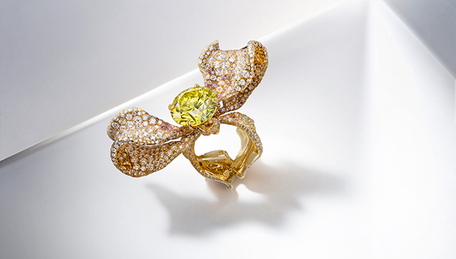 CINDY CHAO艺术珠宝呈现珍稀彩钻，COS为纯色T恤赋予创意 | 是日美好事物