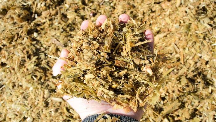 海大集团营收破千亿后，需警惕原材料价格波动与下游养殖不利