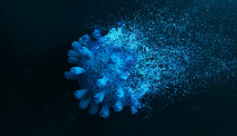 各地疫情處于局部零星散發(fā)狀態(tài)，出現(xiàn)規(guī)模性疫情可能性較小