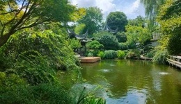 成交价超1.33亿，杭州最贵法拍房长啥样