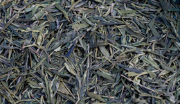 普洱造富神话终结，茶商为库存发愁