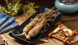 从传统药材到新式滋补，不被设限的“人参”如何抢占养生市场？