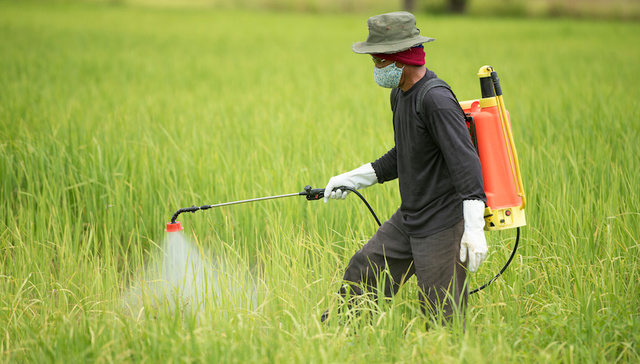 IPO雷达｜农药生产商剑牌农化三“闯”主板：曾被证监会出具警示函，存在大量“非法人”经销商