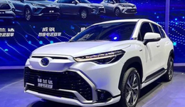 不叫好却叫座，被“拧巴”的混合动力汽车