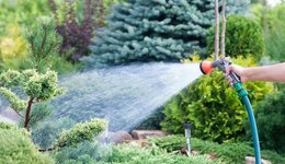 IPO雷达｜叶晓东的大叶工业冲主板：实控人长期占用资金，社保缴纳比例不足，“踩雷”地产信托