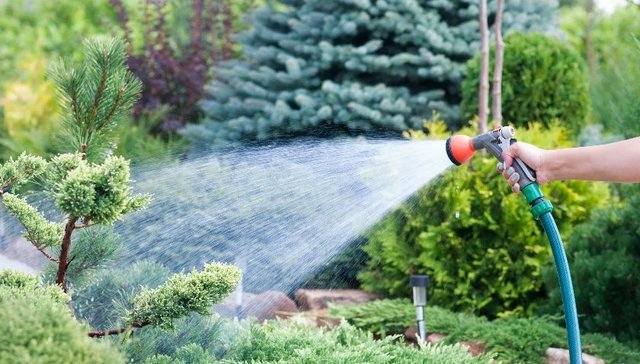 大叶股份，大叶工业，园艺，社保，地产信托