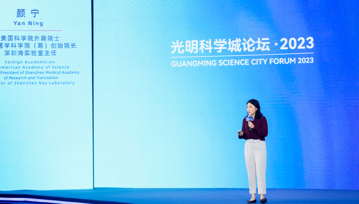 医药,深圳,生物技术