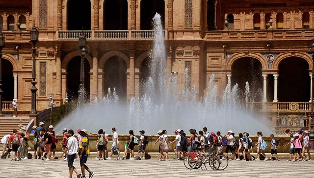 西班牙,干旱,橄榄油,高温