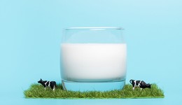 去年净利大幅下滑，资产重组后三元股份业绩会怎么走？