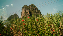 “下沉式旅游”火了，景區(qū)排隊(duì)不如村里躺平？