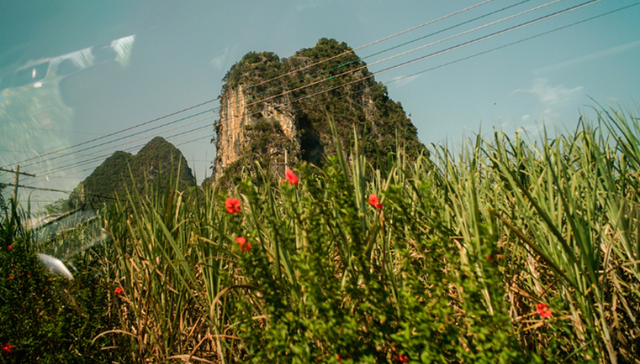旅行的意义,消费,旅游,民宿,乡村旅游