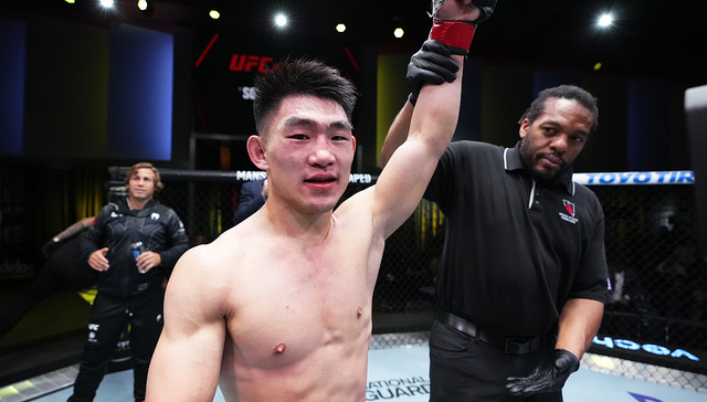 宋亚东完成TKO，UFC生涯战绩达12战9胜