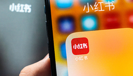 大廠(chǎng)圍剿小紅書(shū)