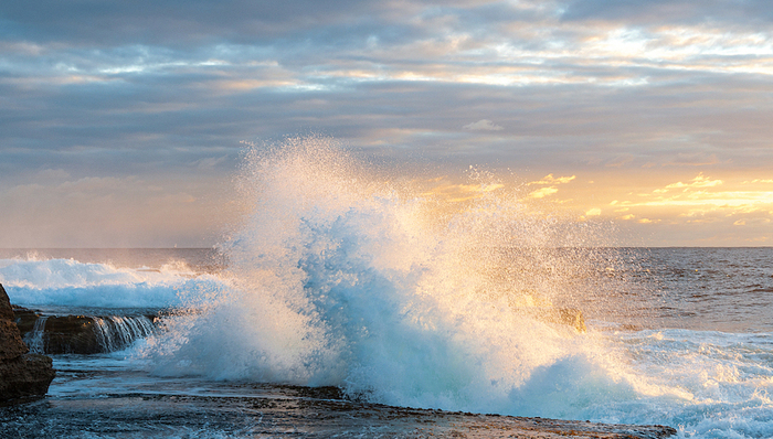 调研早知道 | 在手订单量环比改善，昭衍新药增长点在海外业务