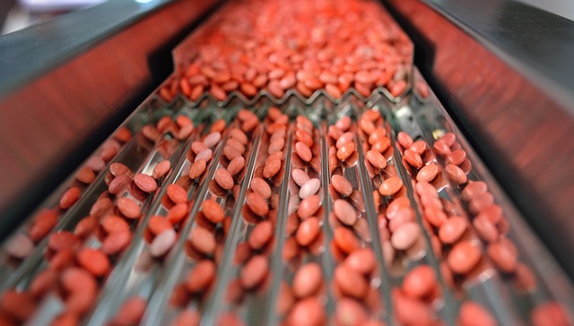 疫情后台州药企重塑“世界药房”，还要在国内找新机遇|一线经济笔记