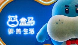 盒马，上市又能怎样？