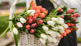 巨头抢滩，垂直鲜花电商何以破局？